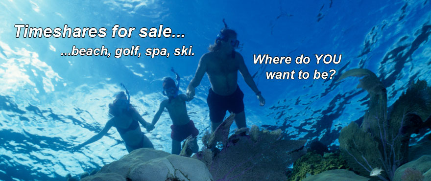 Weston Hilton Disney and Marriott timeshares for sale. Search timeshare resales now.
