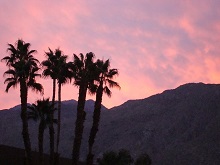 Palm Springs Timeshares