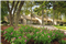 Wyndham Resort at Fairfield Bay Timeshares